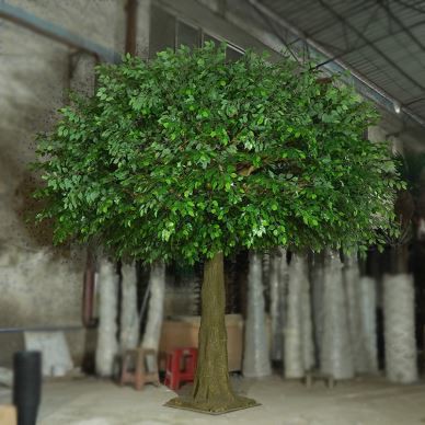 16ft pitkä Deluxe Silk Ficus Tree Faux vihannestehdas